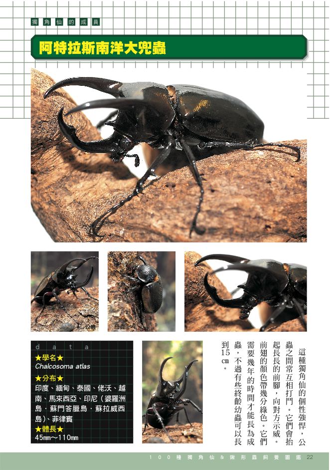 內頁 7