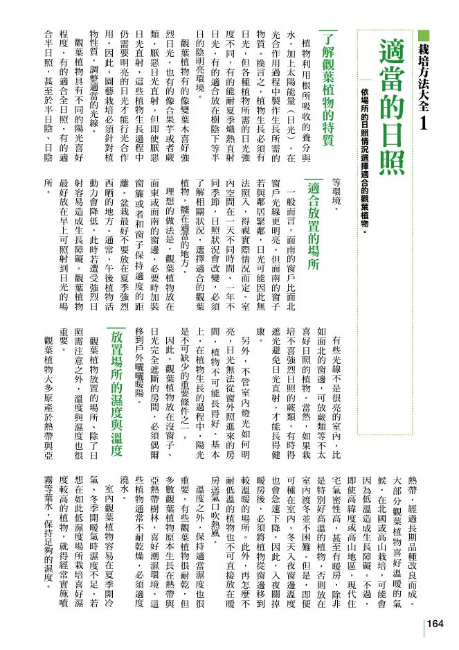內頁 7