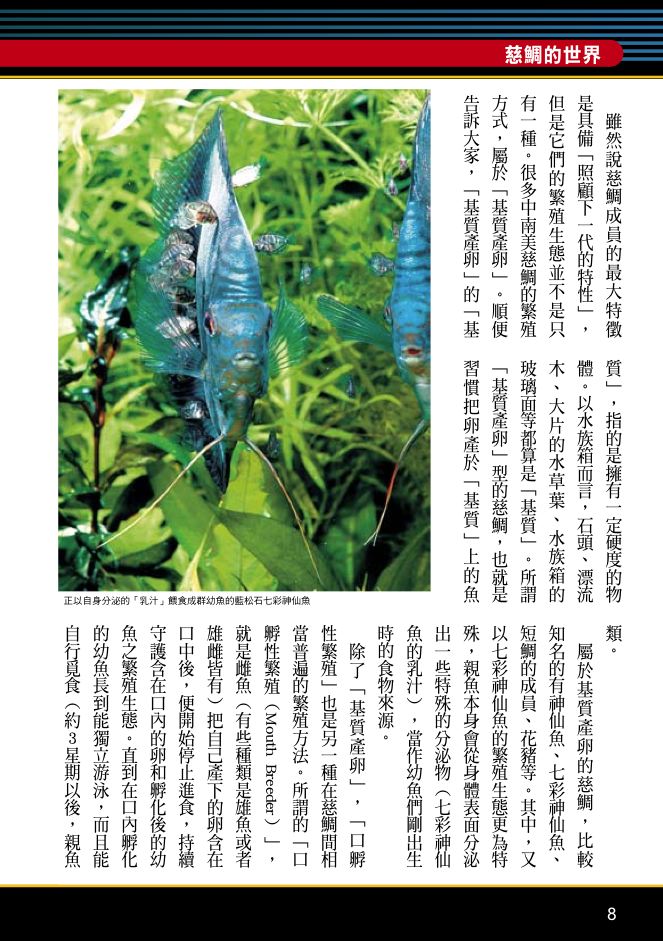 內頁 3