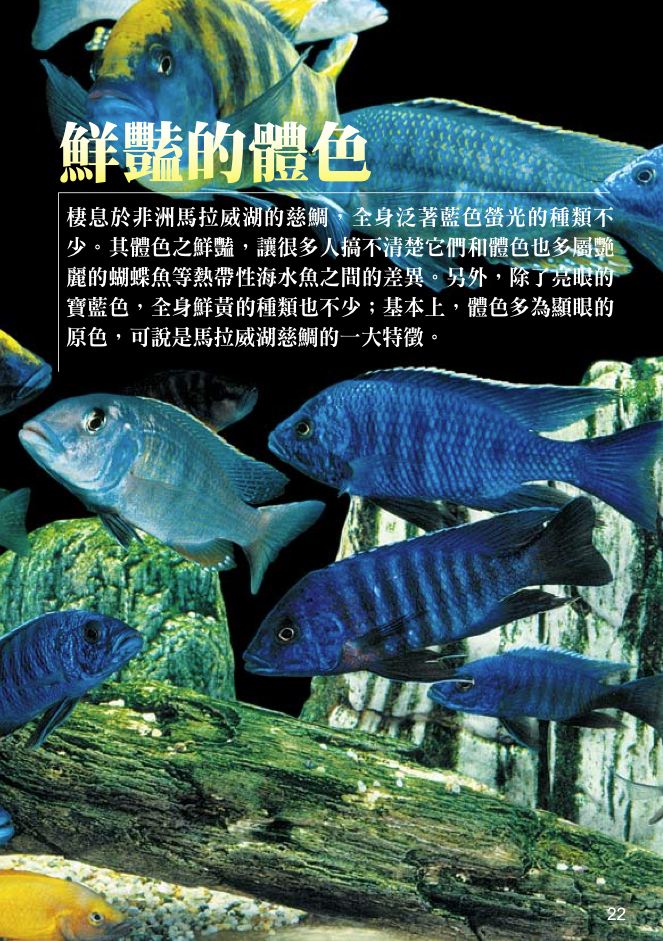 內頁 4