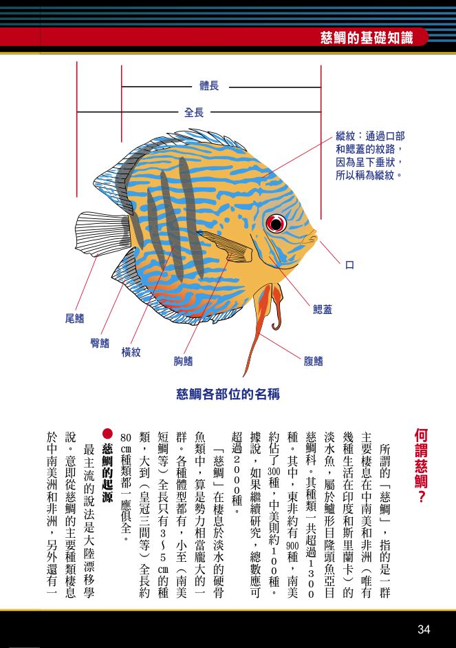 內頁 8