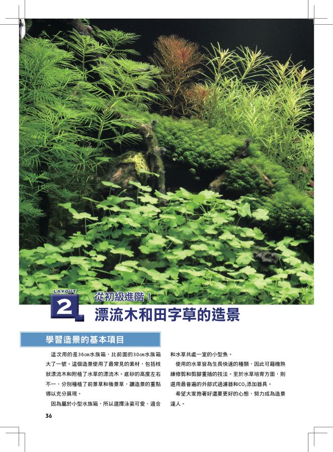 內頁 3