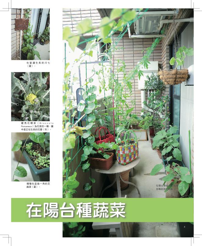 內頁 1