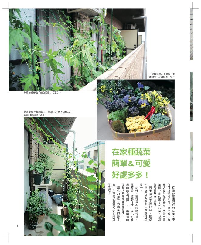 內頁 2
