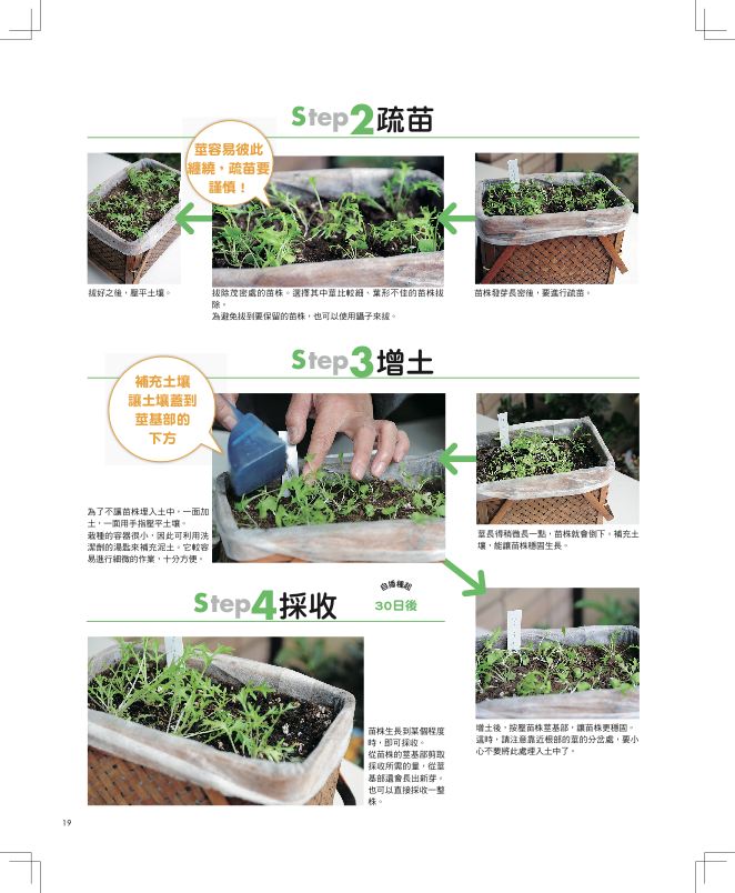 內頁 5