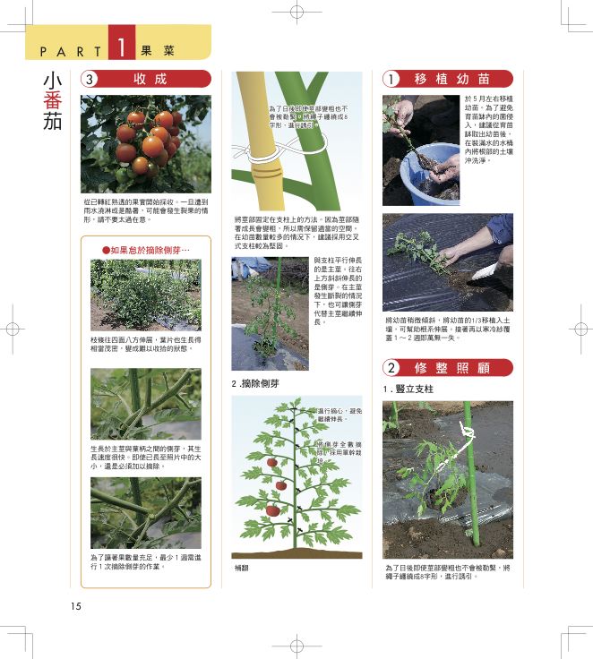 內頁 2