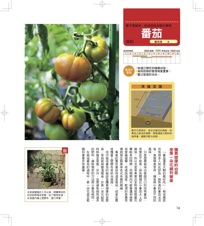 內頁 3