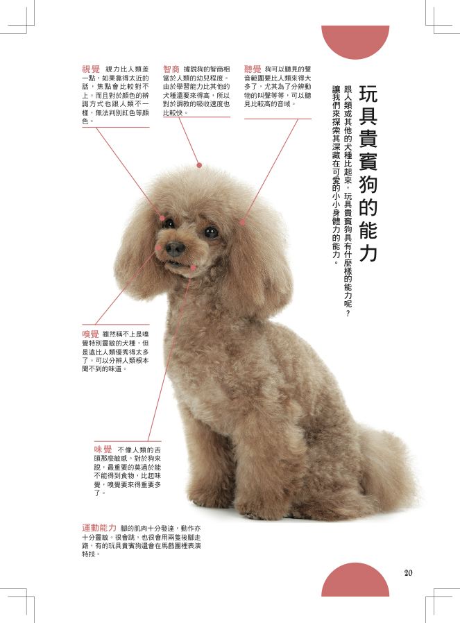 內頁 5