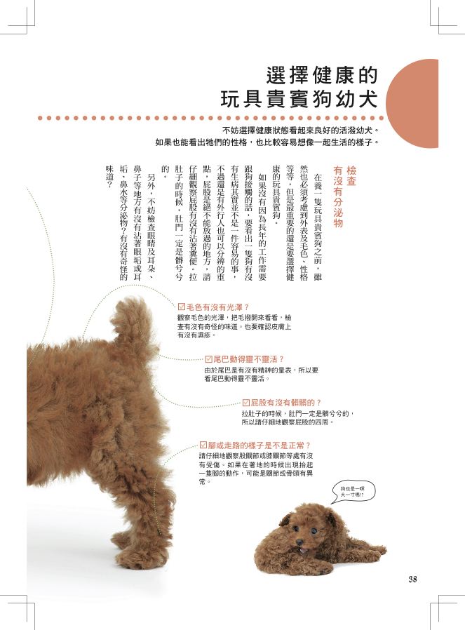 內頁 7