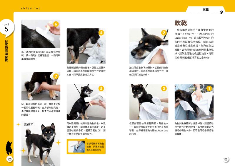 內頁 7