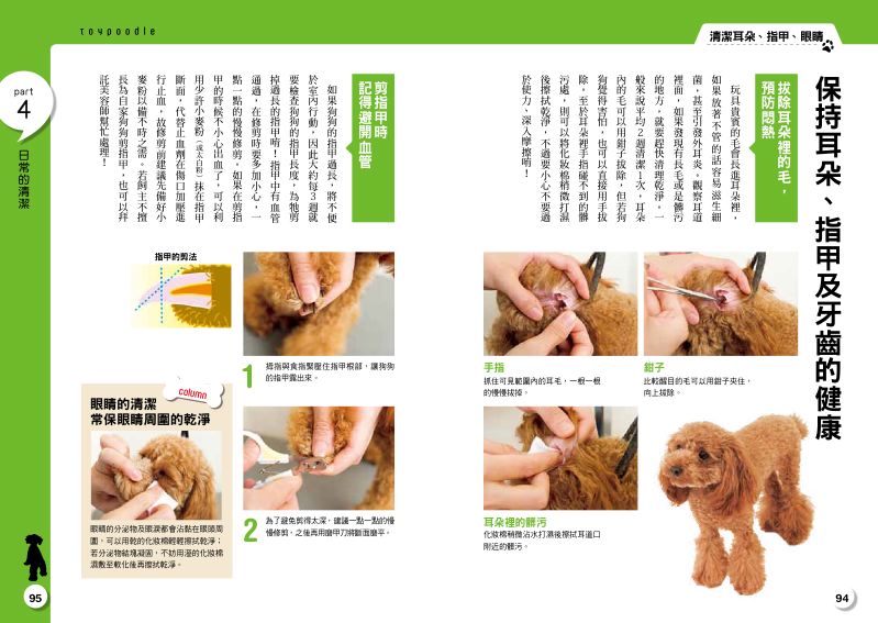 內頁 10