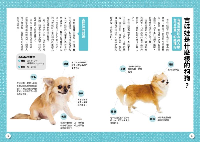 內頁 2