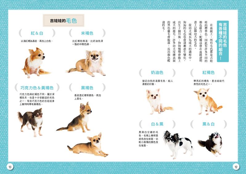 內頁 3