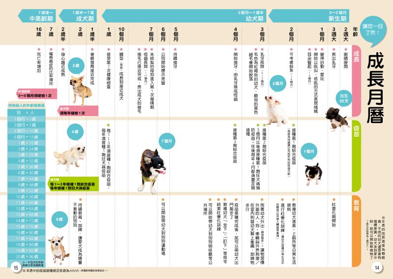 內頁 4