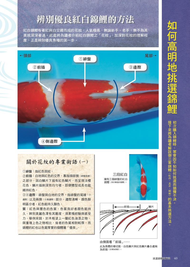 內頁 4