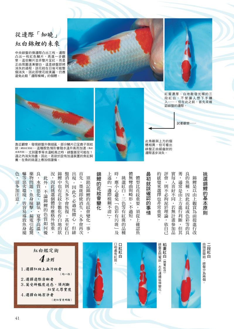 內頁 5