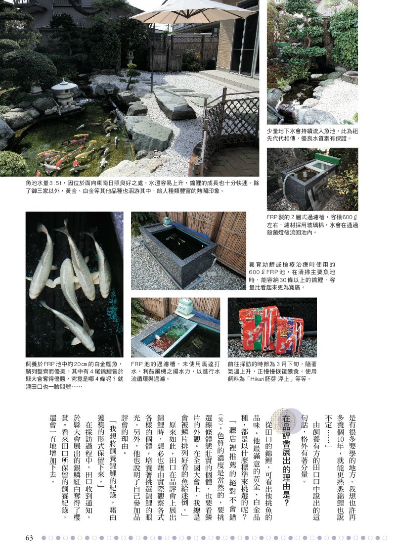 內頁 7