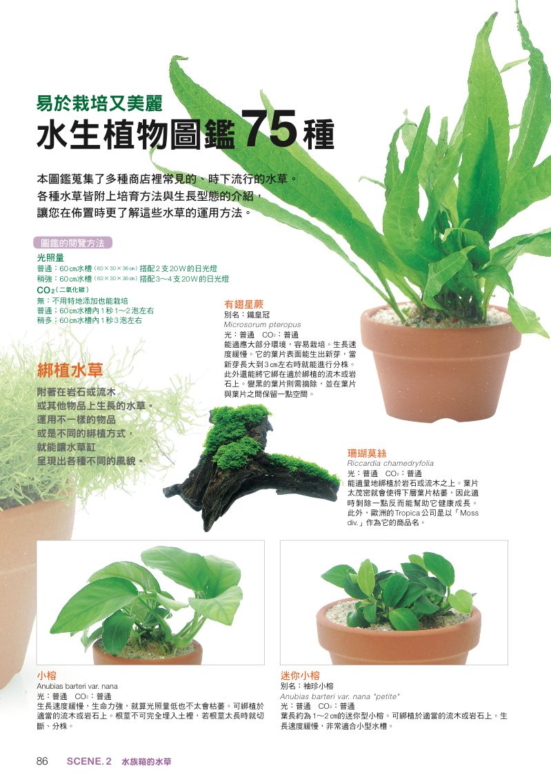 內頁 10
