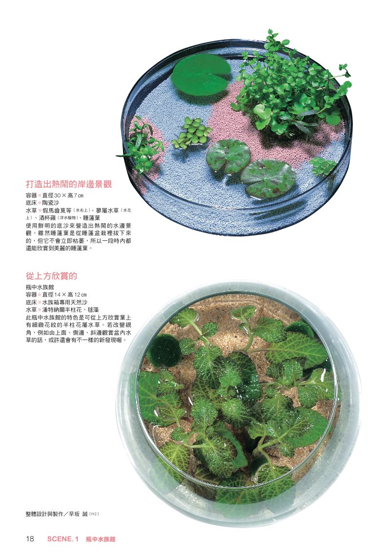 內頁 3