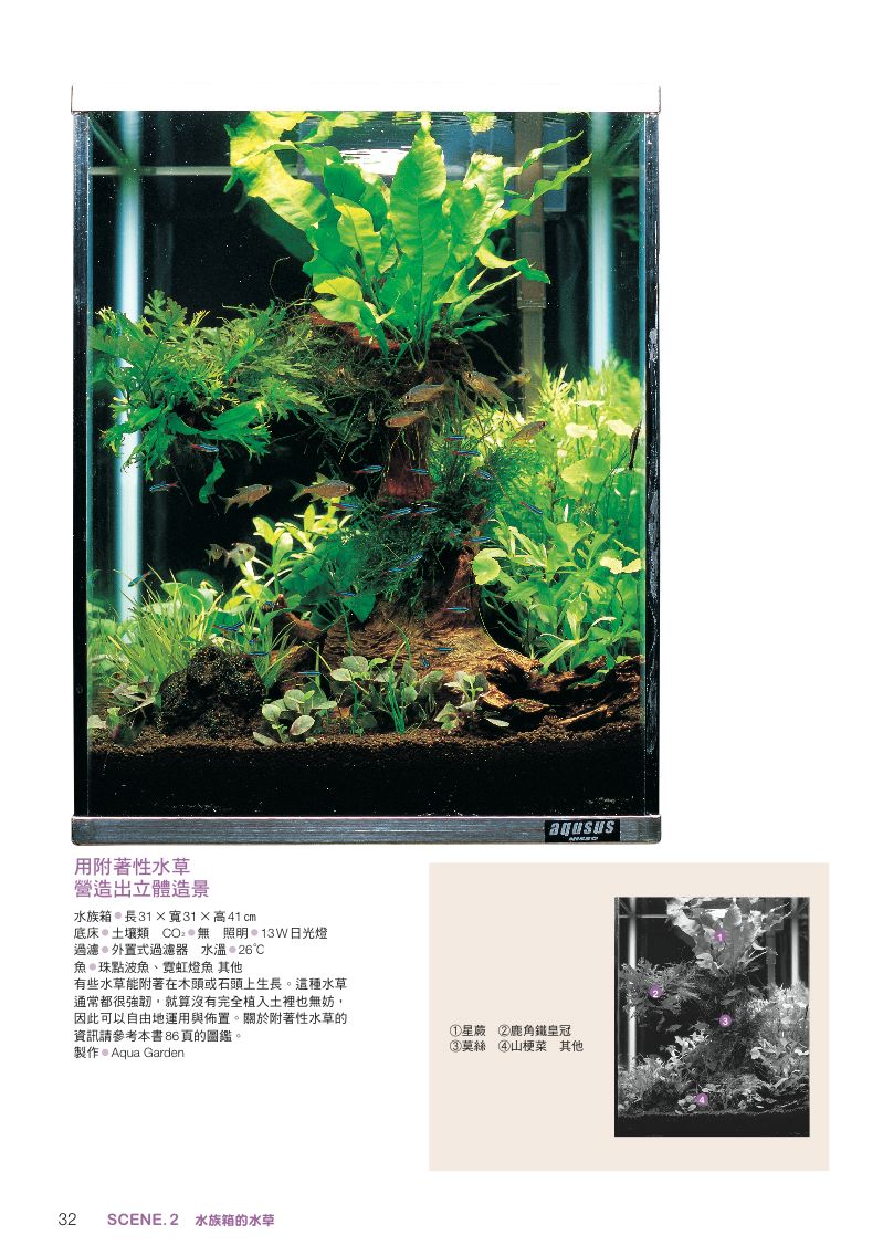 內頁 5