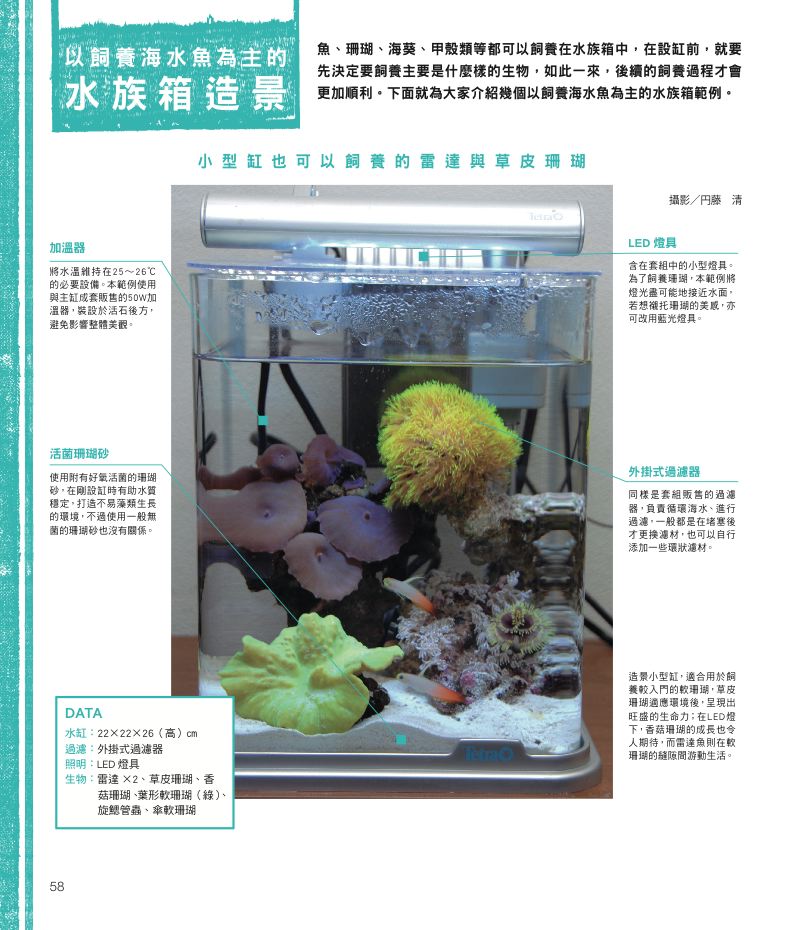 內頁 10