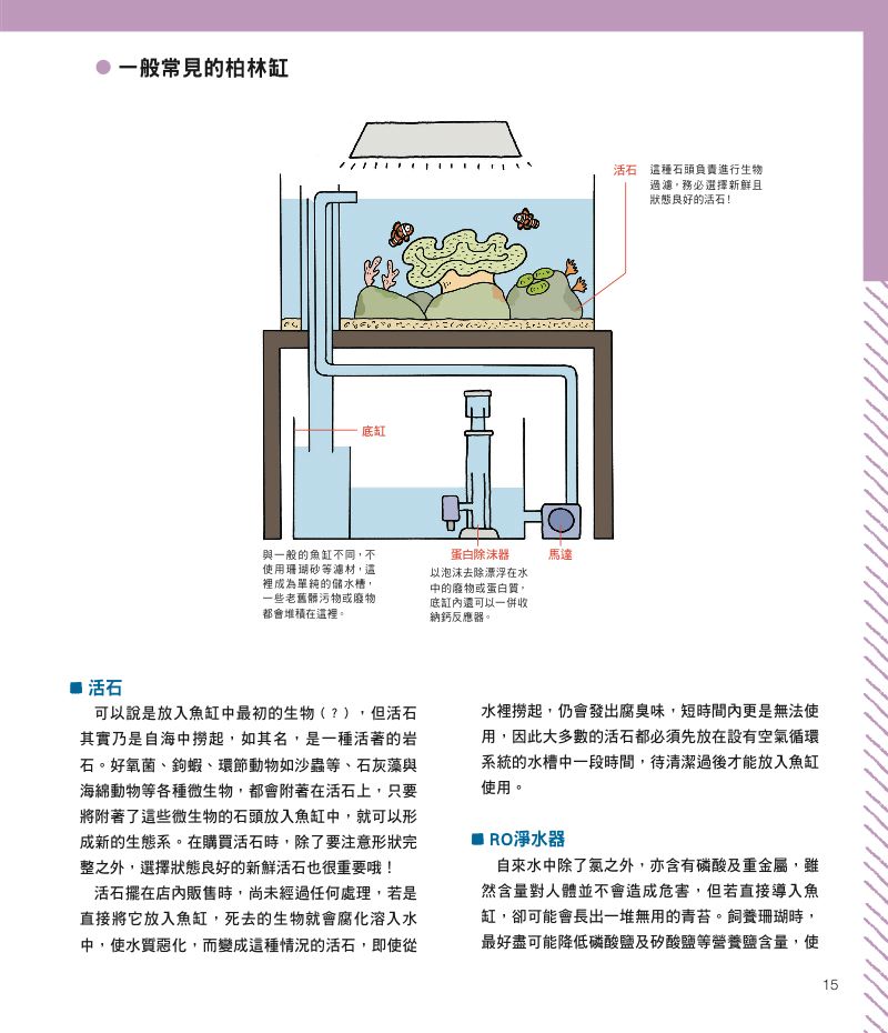 內頁 3