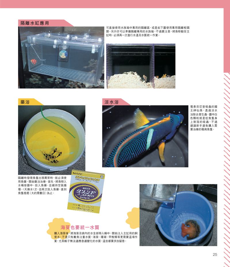 內頁 5