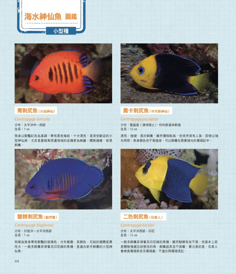 內頁 8