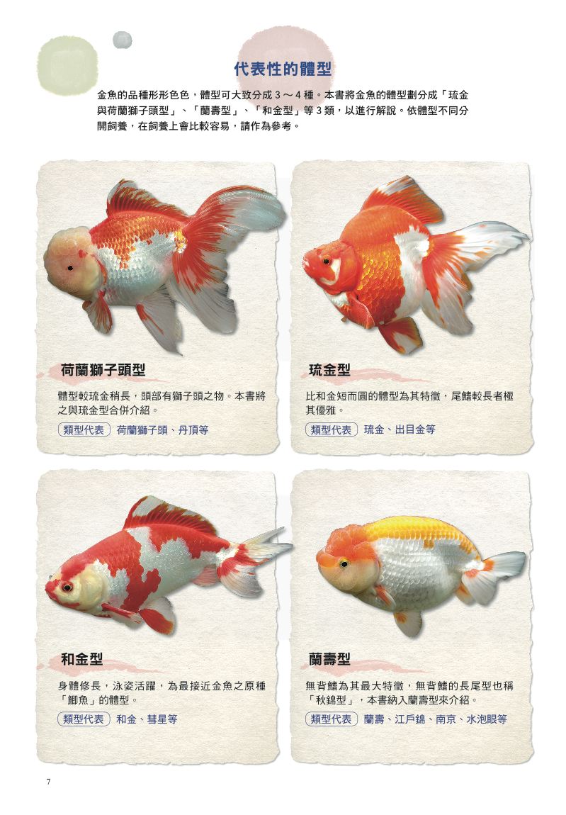 內頁 3