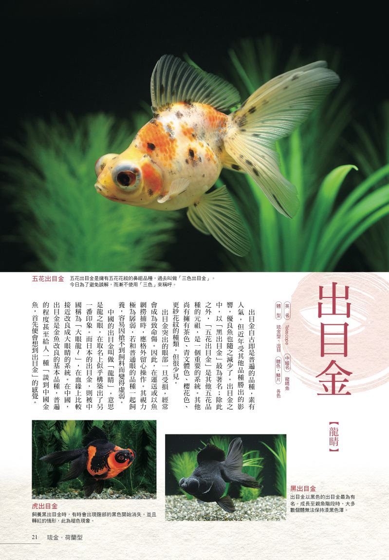 內頁 6