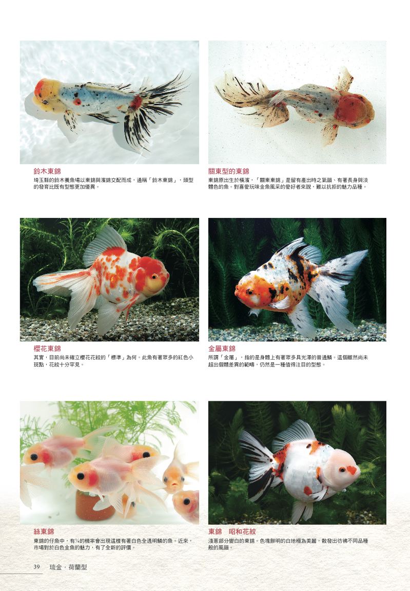 內頁 8