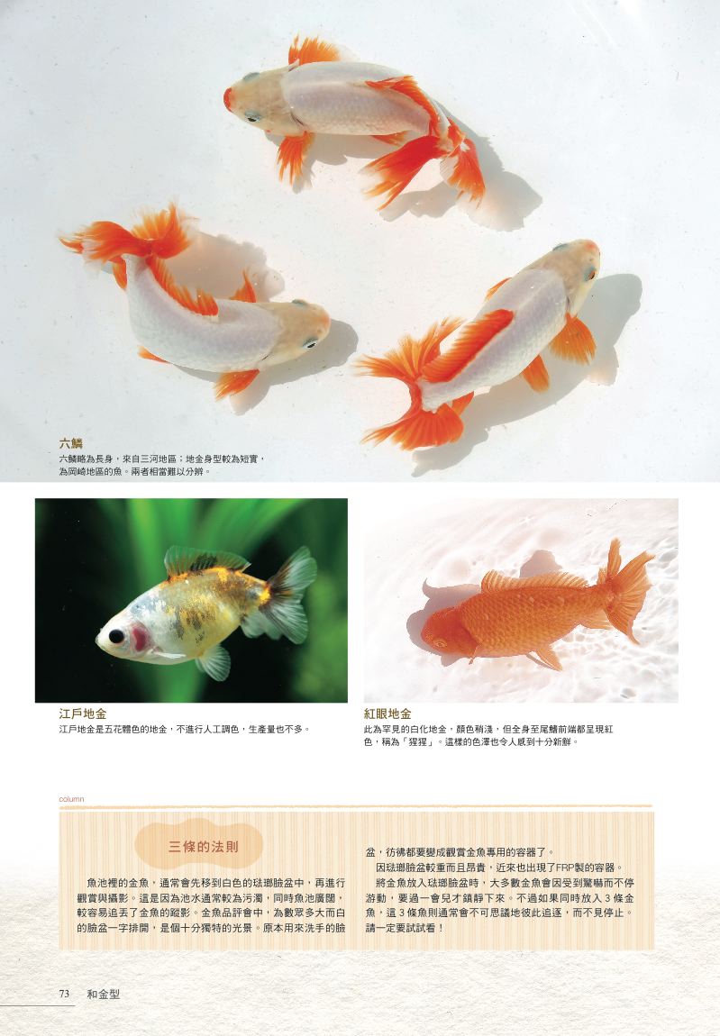 內頁 9