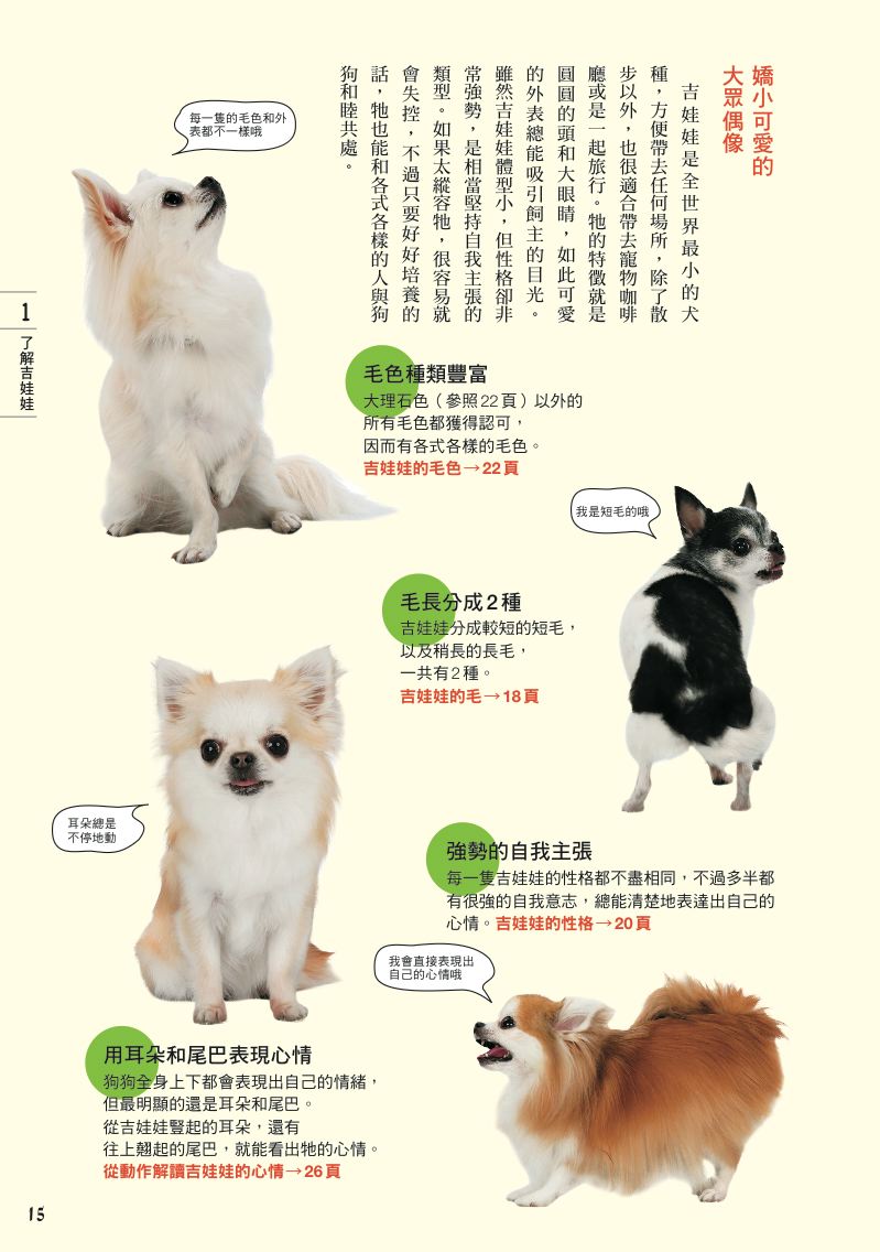 內頁 2