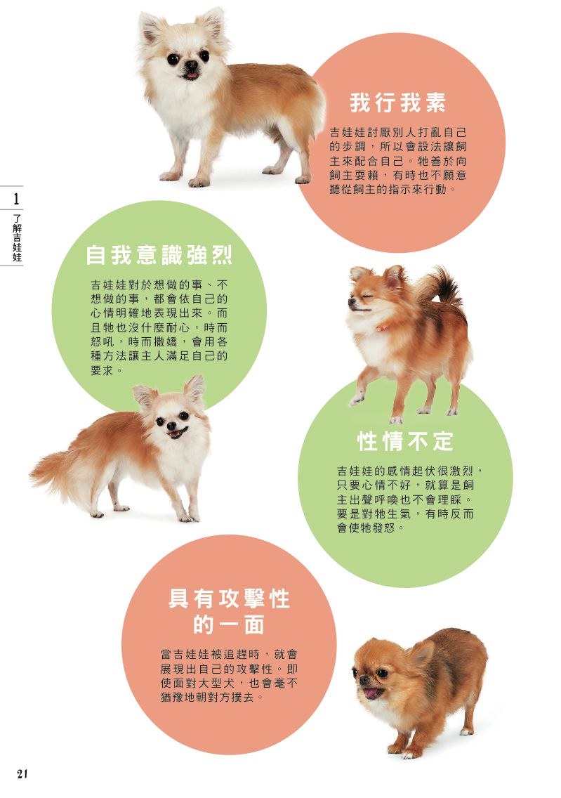 內頁 5