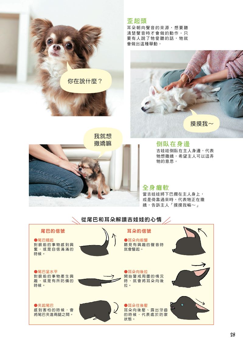 內頁 6