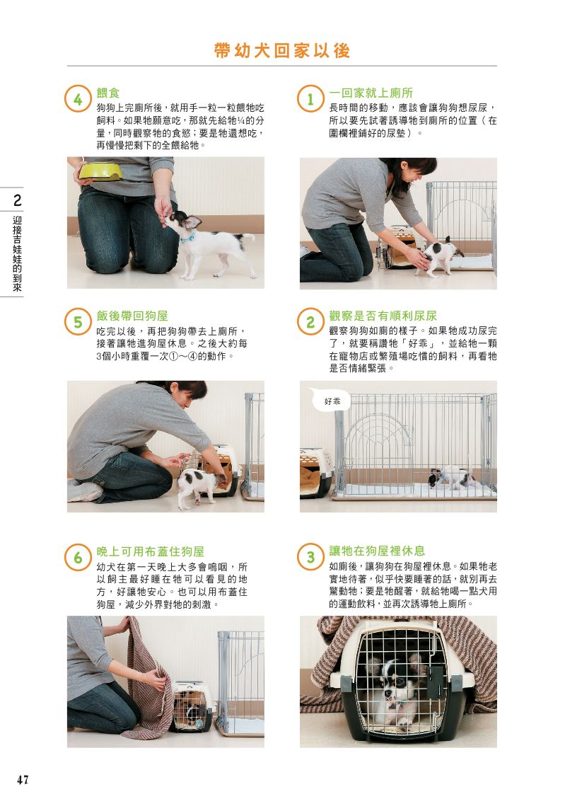 內頁 8