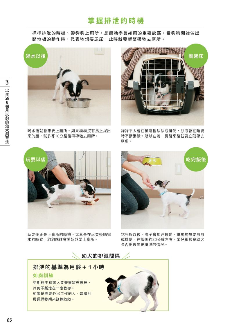 內頁 9
