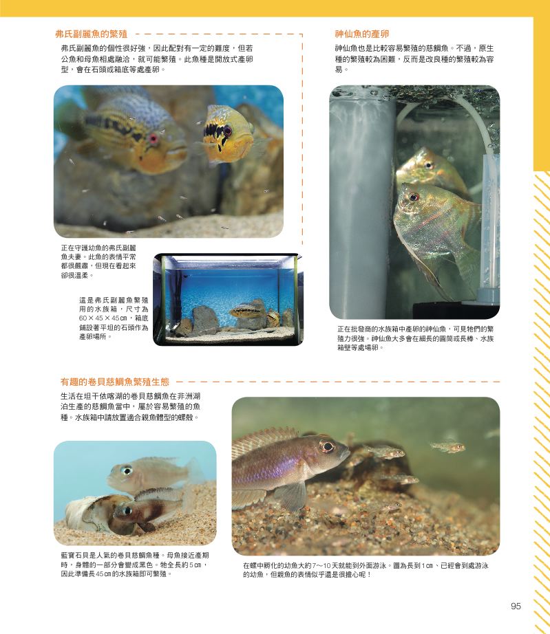 內頁 10