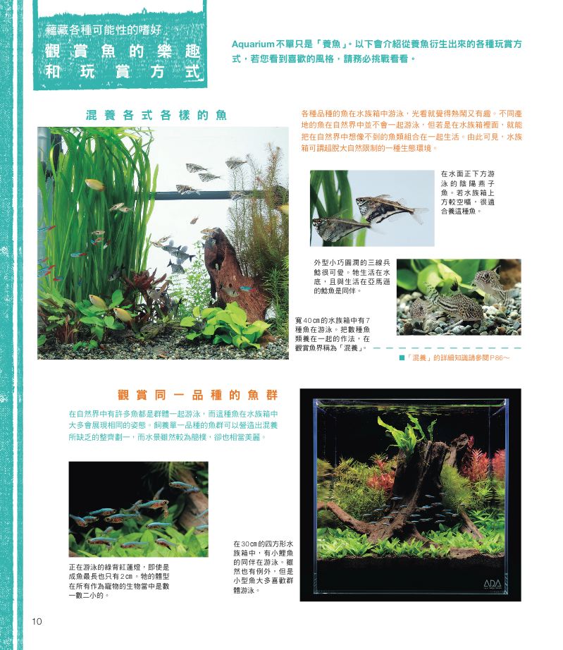 內頁 3
