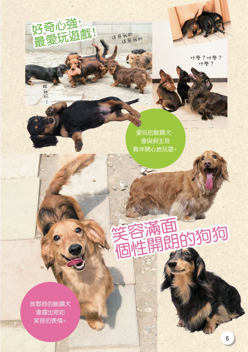 內頁 3