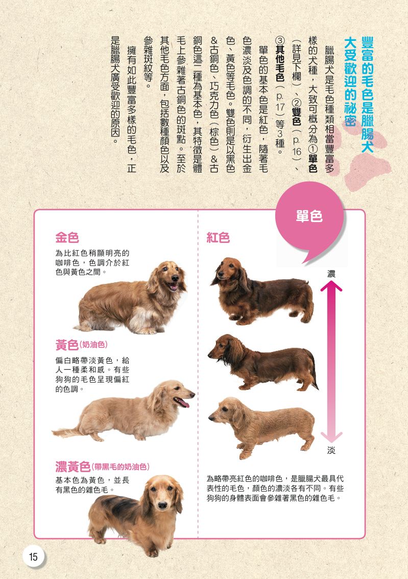 內頁 5