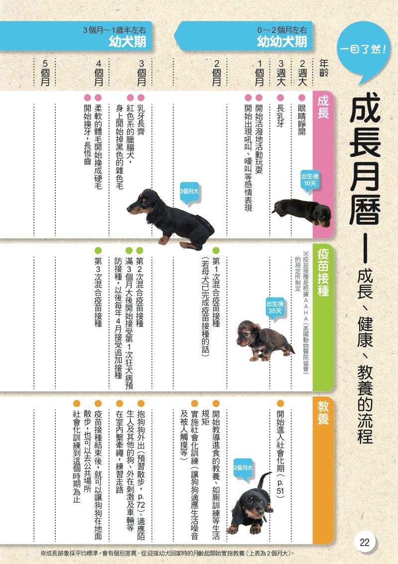 內頁 6