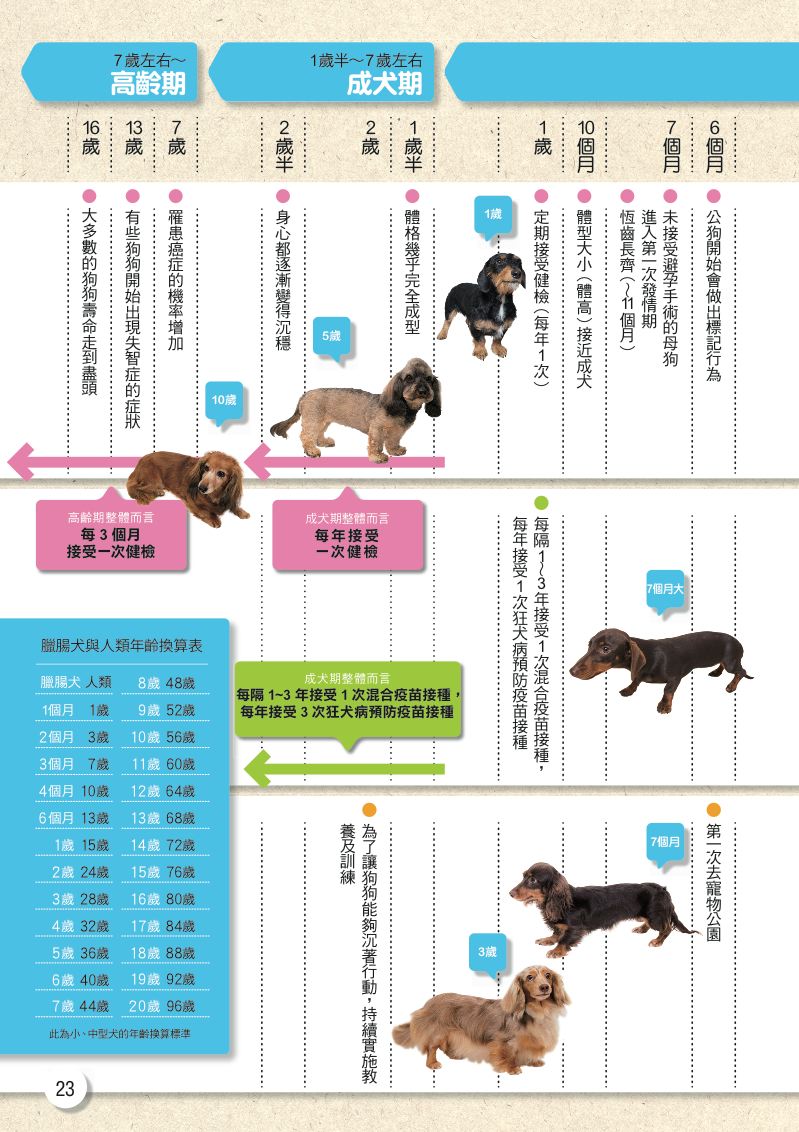 內頁 7