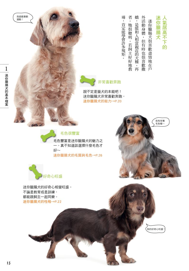 內頁 3