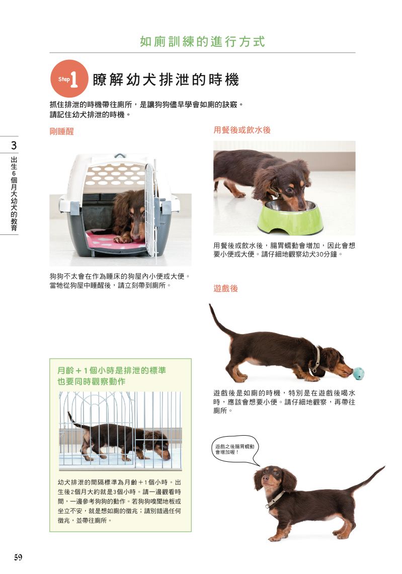 內頁 6