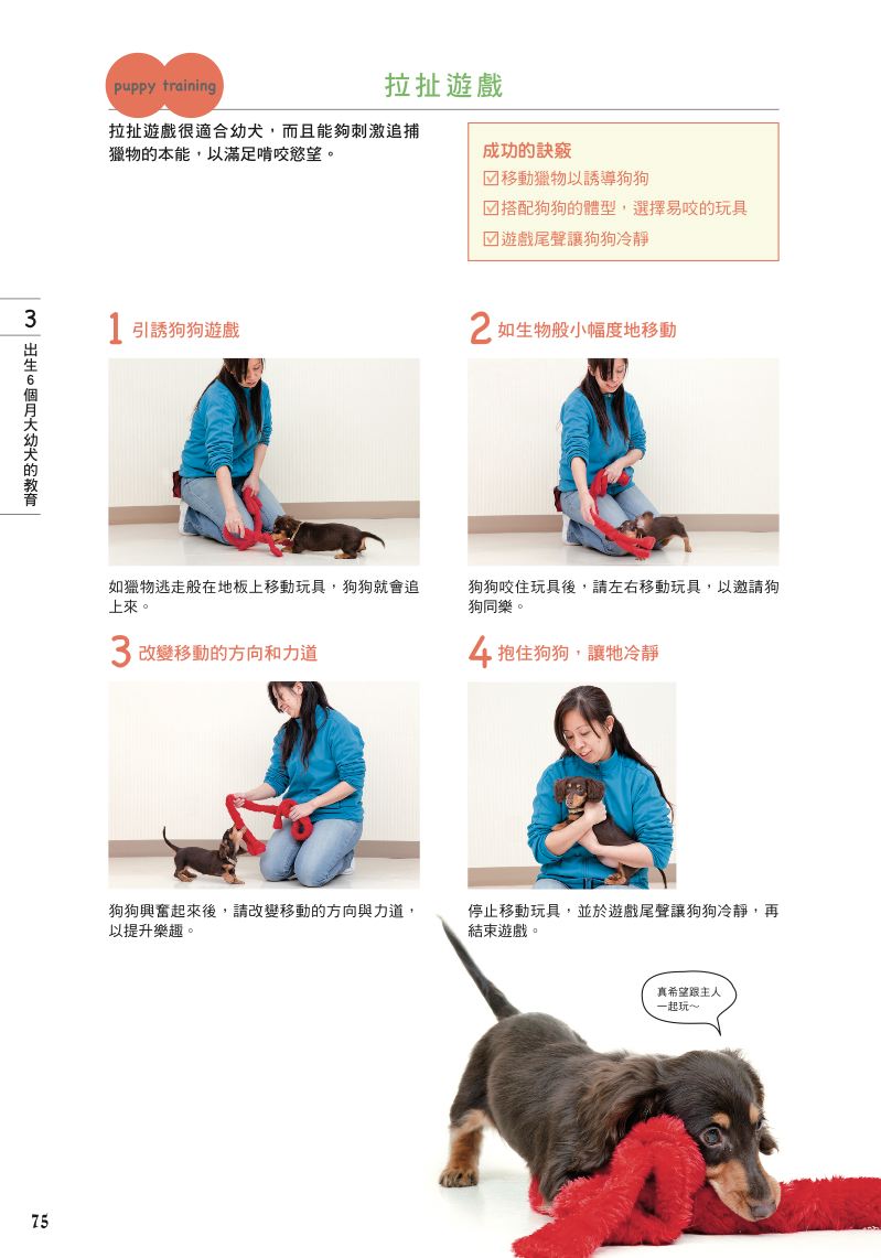 內頁 8