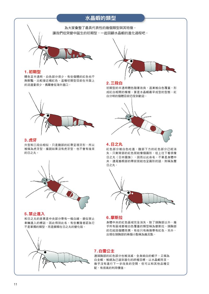 內頁 10