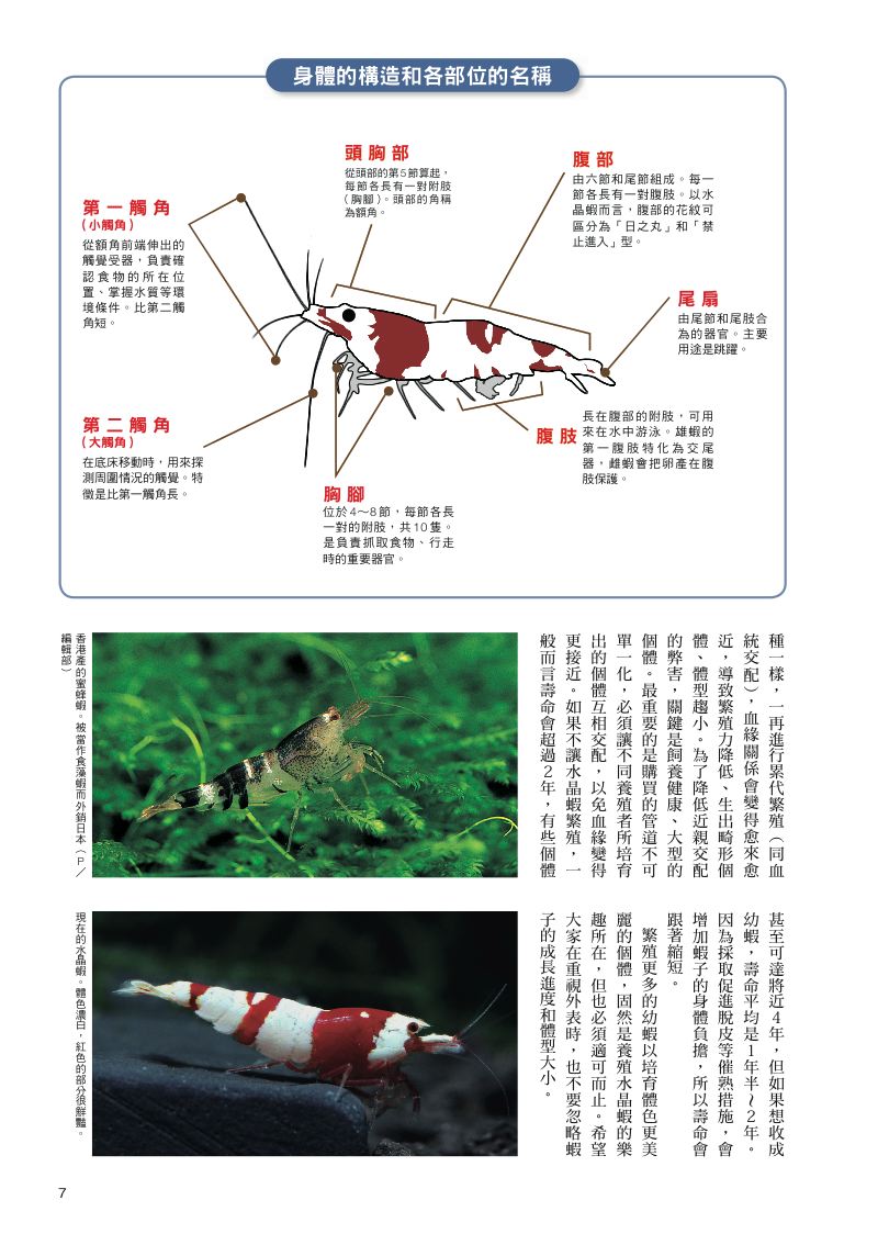內頁 3