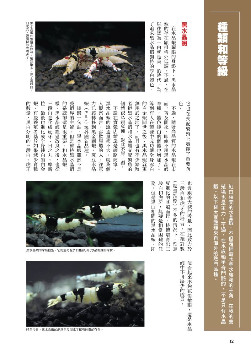內頁 4