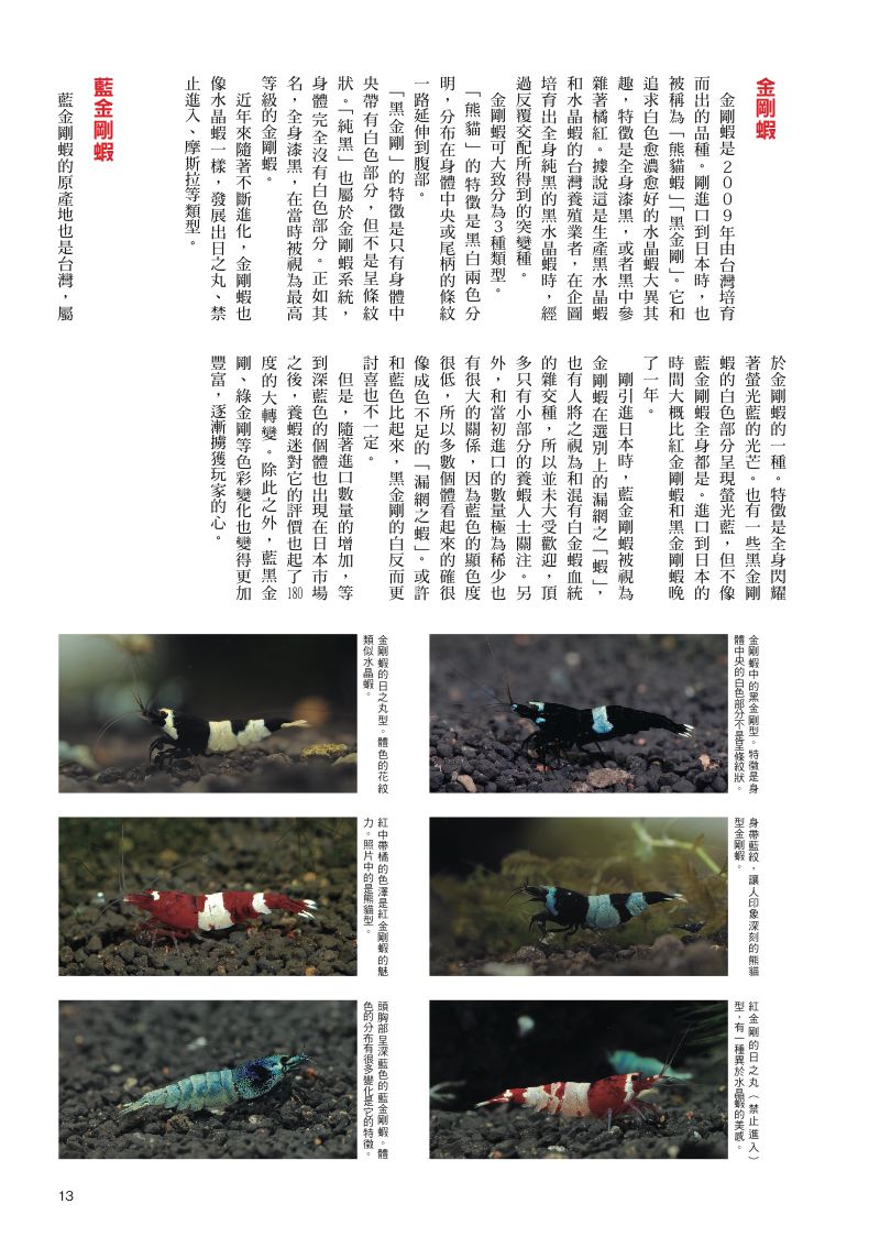 內頁 5